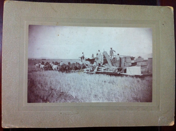 Antique Farming Photo on Cardstock